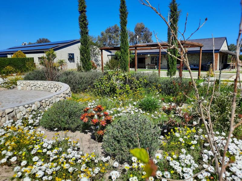 20 Bedroom Property for Sale in Hopefield Western Cape